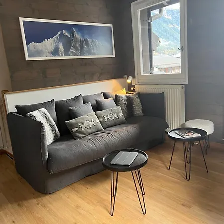 Duplex 4 Personnes Et Un Enfant Chamonix